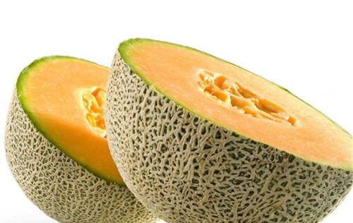 吃哈密瓜网红鹅