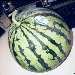 网红带货吃瓜,揭秘吃瓜群众的购物狂欢